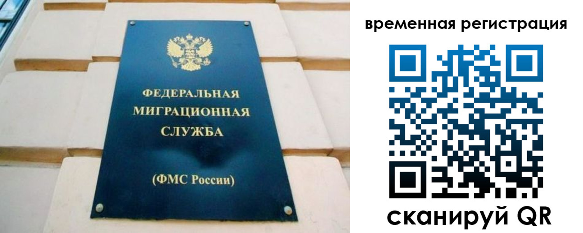 прописка гарантия в Чайковском
